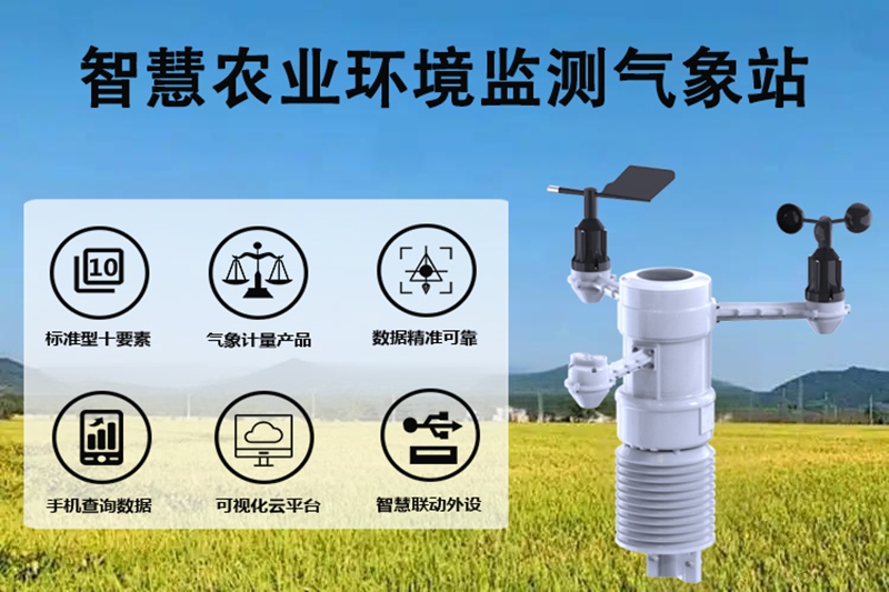 智慧农业环境监测气象站：如何构建从数据到决策的农业智能网络?
