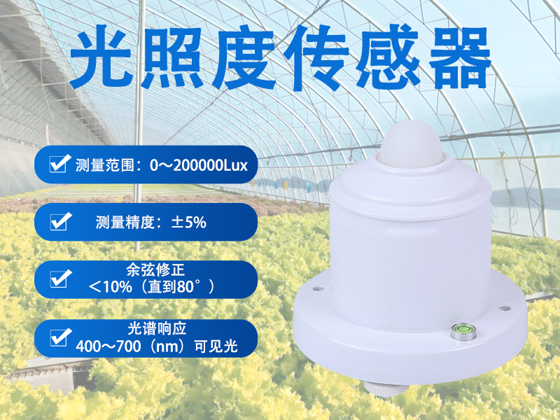 辉阳智联品牌光照度传感器：光照度传感器如何帮助农作物实现科学种植