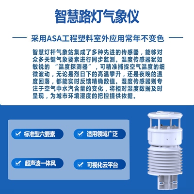 智慧路灯气象仪