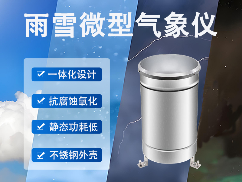 雨雪微型气象仪 雨雪微型气象仪